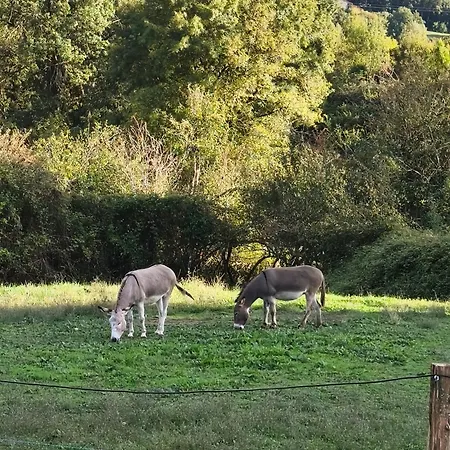 アパート La Grange Des Bastides *
