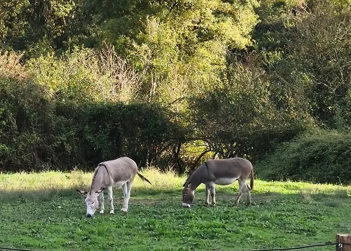 Daire La Grange Des Bastides *